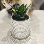 Twilight Planter